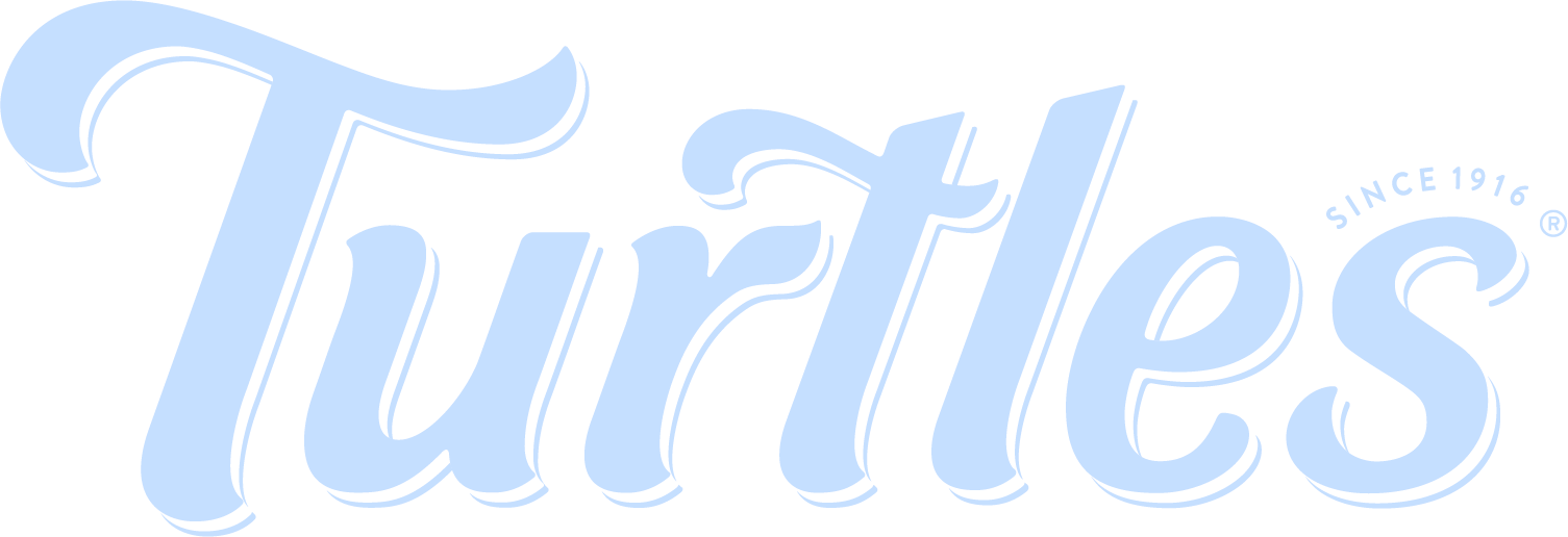 Turtles logo